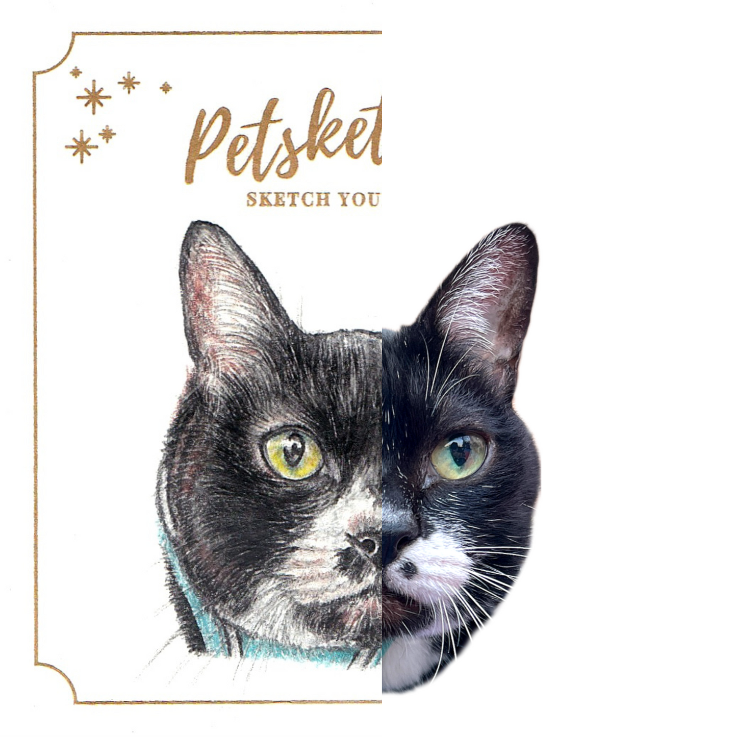 【客製】寵物速畫 | 木顏色 | 貓 | 唐貓 | 黑貓 |