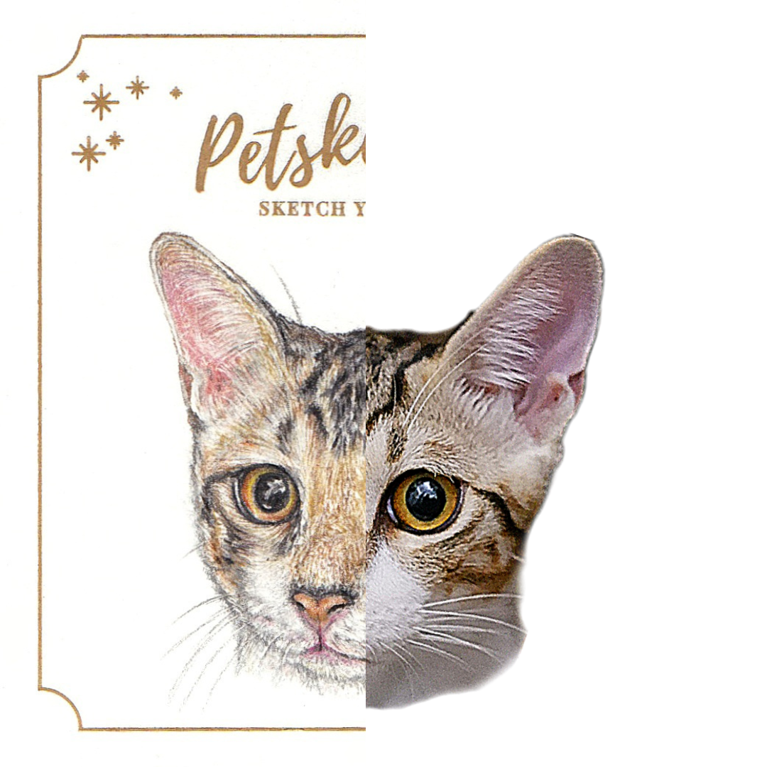 【客製】寵物速畫 | 木顏色 | 貓 | 唐貓 | 港短