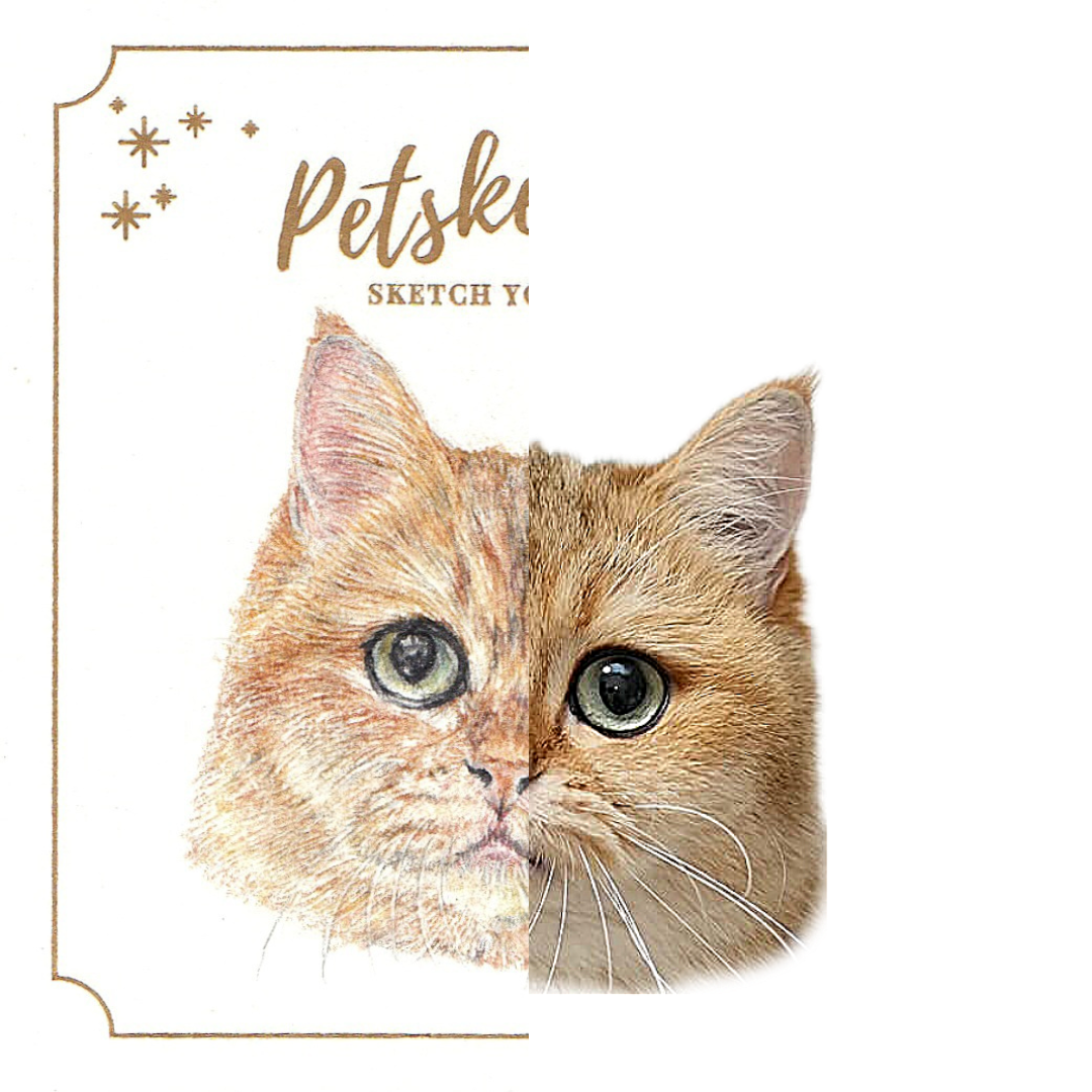 【客製】寵物速畫 | 木顏色 | 貓 | 英短 | 金影 |