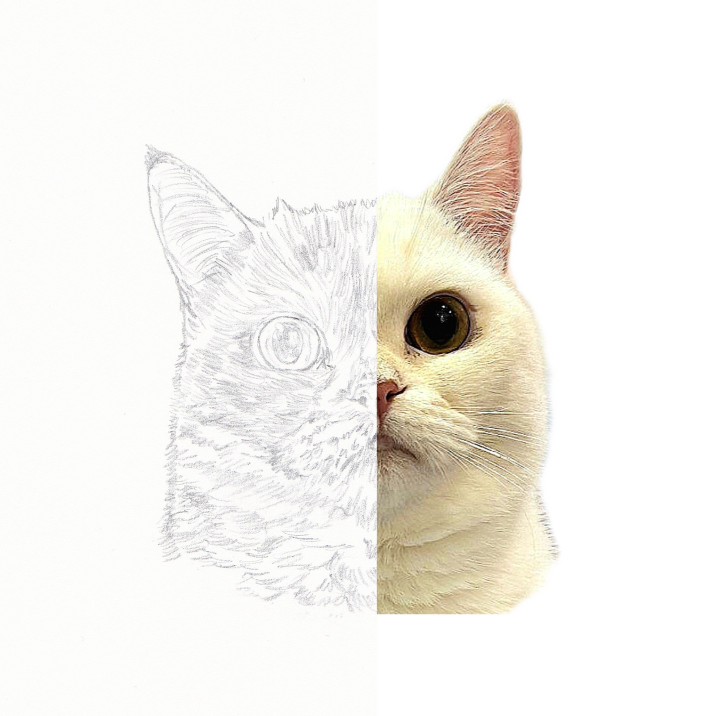 【客製】寵物手繪 | 木顏色 | 貓 | 英短 | 忌廉貓 |