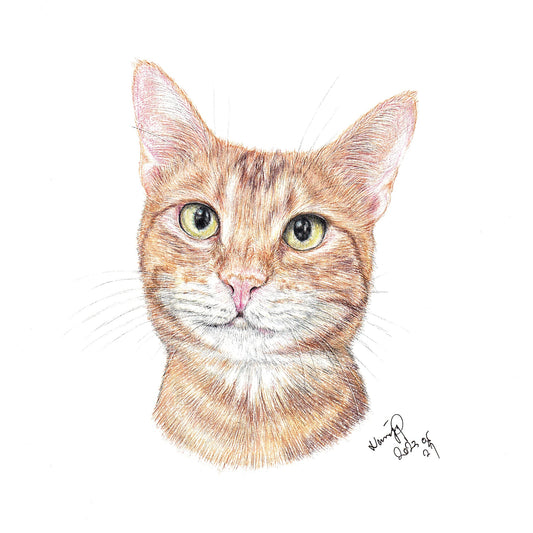 【客製】寵物手繪 | 木顏色 | 貓 | 唐貓 | 橘貓 |