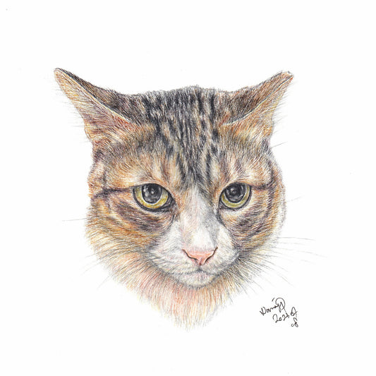 【客製】寵物手繪 | 木顏色 | 貓 | 唐貓 | 虎班貓 |