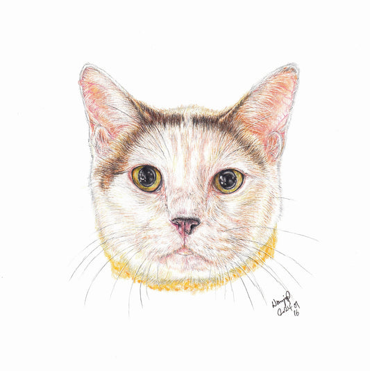 【客製】寵物手繪 | 木顏色 | 貓 | 英短 |