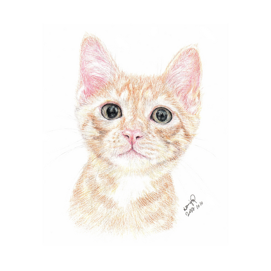 【客製】寵物手繪 | 木顏色 | 貓 | 唐貓 | 幼貓 |