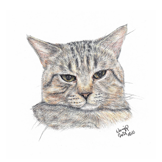【客製】寵物手繪 | 木顏色 | 貓 | 虎紋 | 英短 |