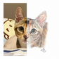 【客製】寵物手繪 | 木顏色 | 貓 | 唐貓 | 三色貓 |