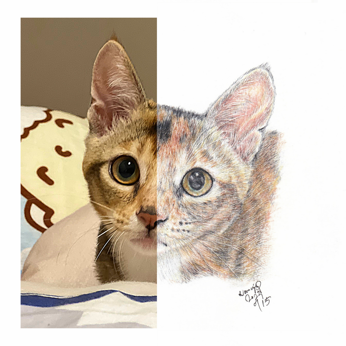 【客製】寵物手繪 | 木顏色 | 貓 | 唐貓 | 三色貓 |
