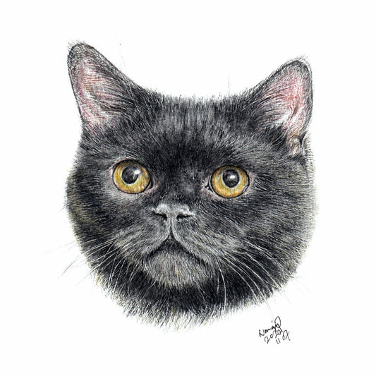 【客製】寵物手繪 | 木顏色 | 貓 | 英短 | 黑貓 |