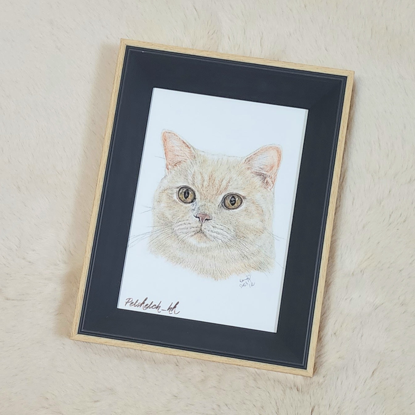 【客製】寵物手繪 | 木顏色 | 貓 | 英短 | 忌廉貓 |